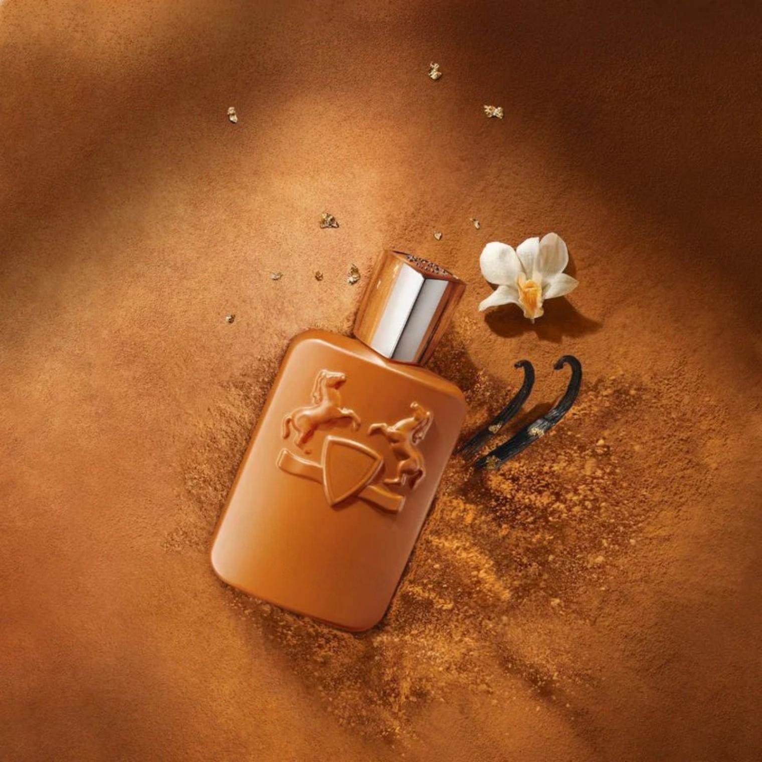 125ml 브라운 보틀 남성용 향수, 풍부한 우디 향  - Perfume Adrien Fragrance 리뷰 및 가격
