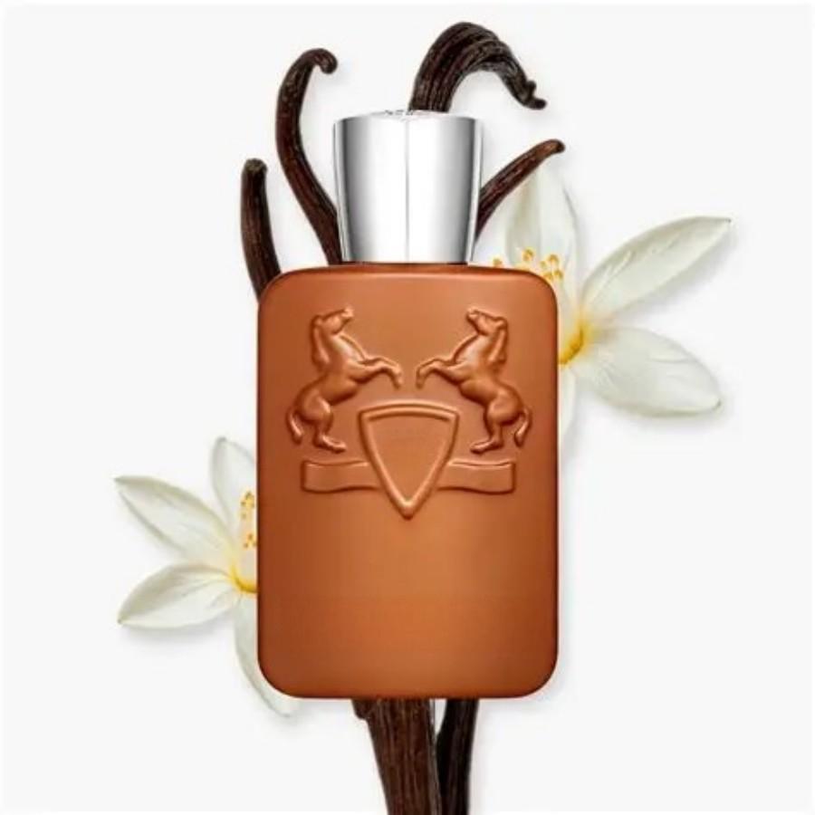 125ml 브라운 보틀 남성용 향수, 풍부한 우디 향  - Perfume Adrien Fragrance 리뷰 및 가격