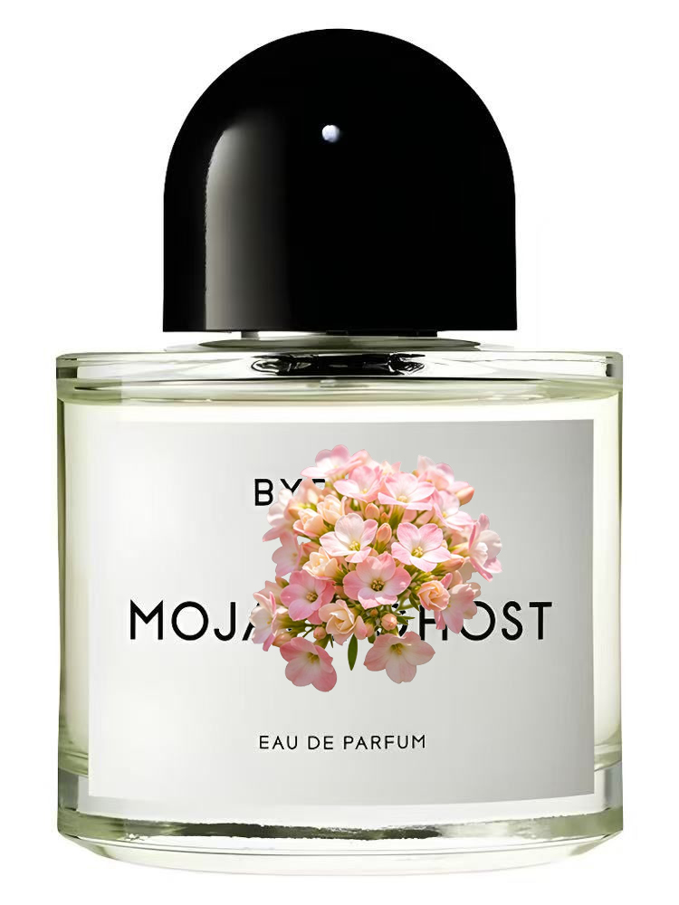 유니섹스 오 드 퍼퓸 100ml 3.4 fl.oz 럭셔 - Perfume Adrien Fragrance 리뷰 및 가격